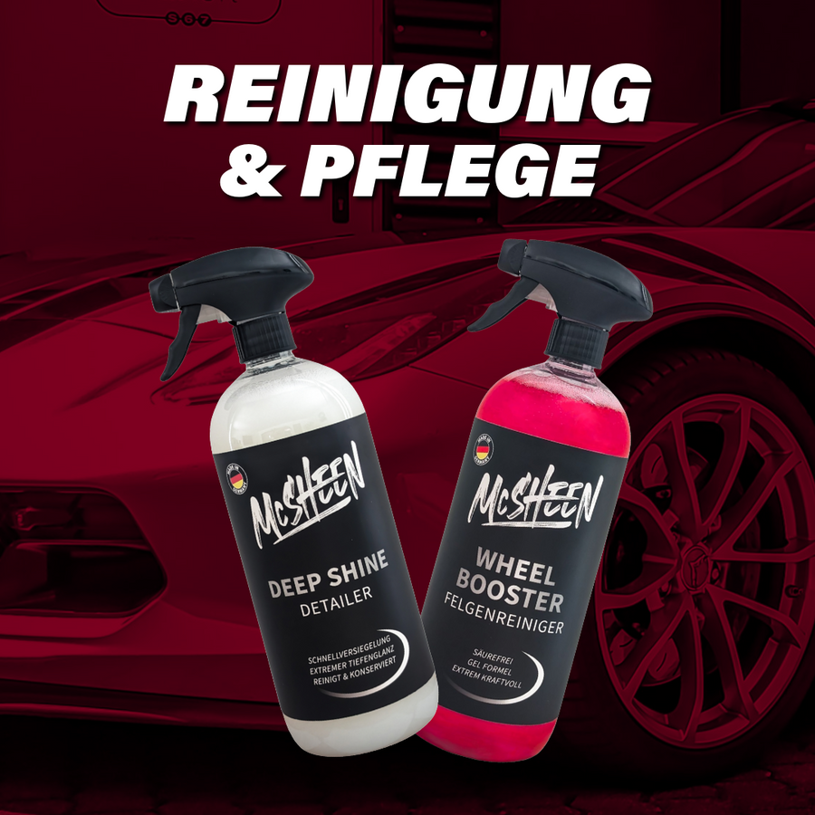 REINIGUNG UND PFLEGE