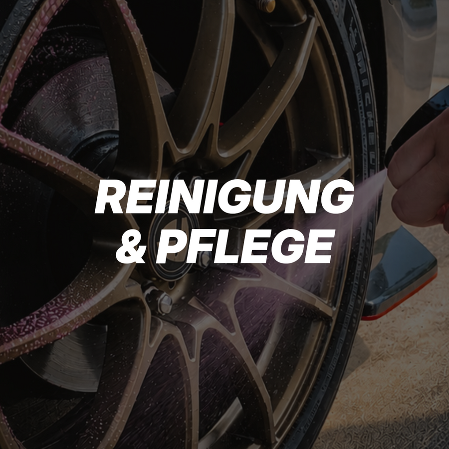 REINIGUNG UND PFLEGE